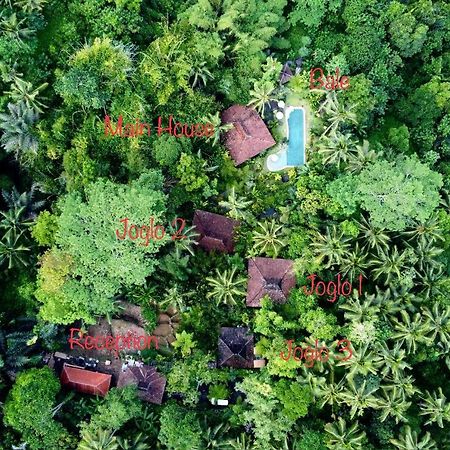 Villa Mahadevi Jungle Retreat Joglo 1 우붓 외부 사진