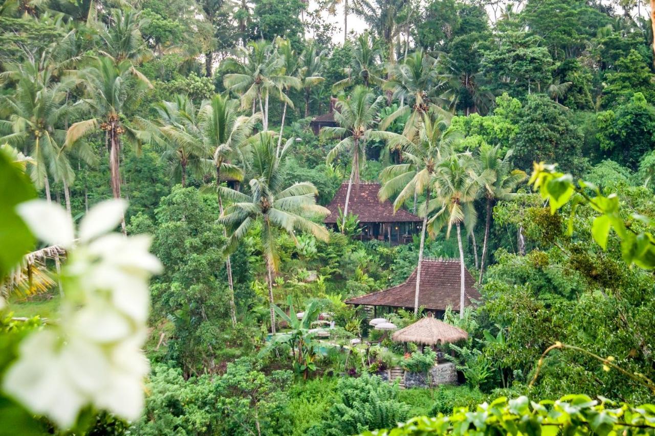 Villa Mahadevi Jungle Retreat Joglo 1 우붓 외부 사진