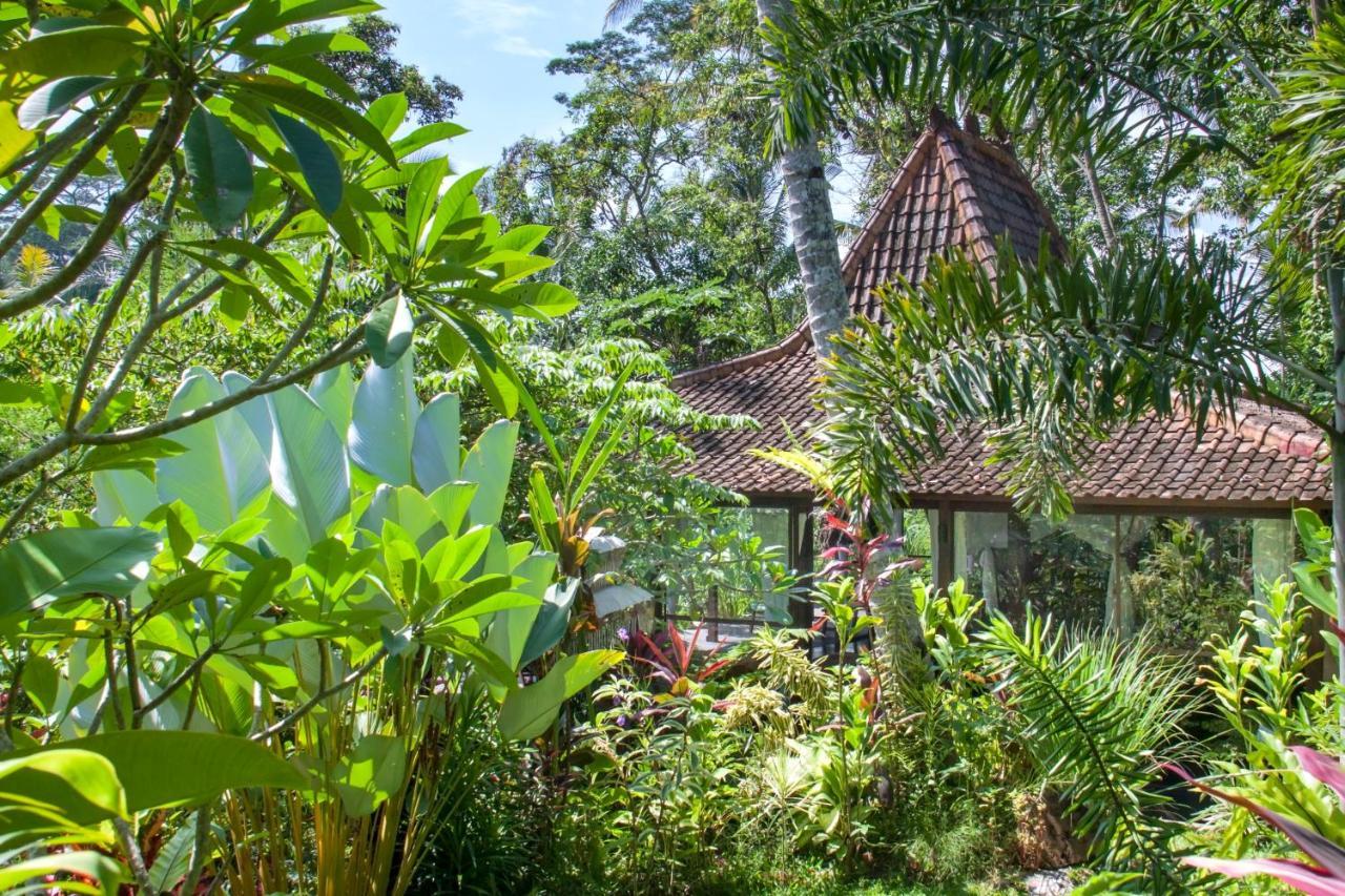 Villa Mahadevi Jungle Retreat Joglo 1 우붓 외부 사진